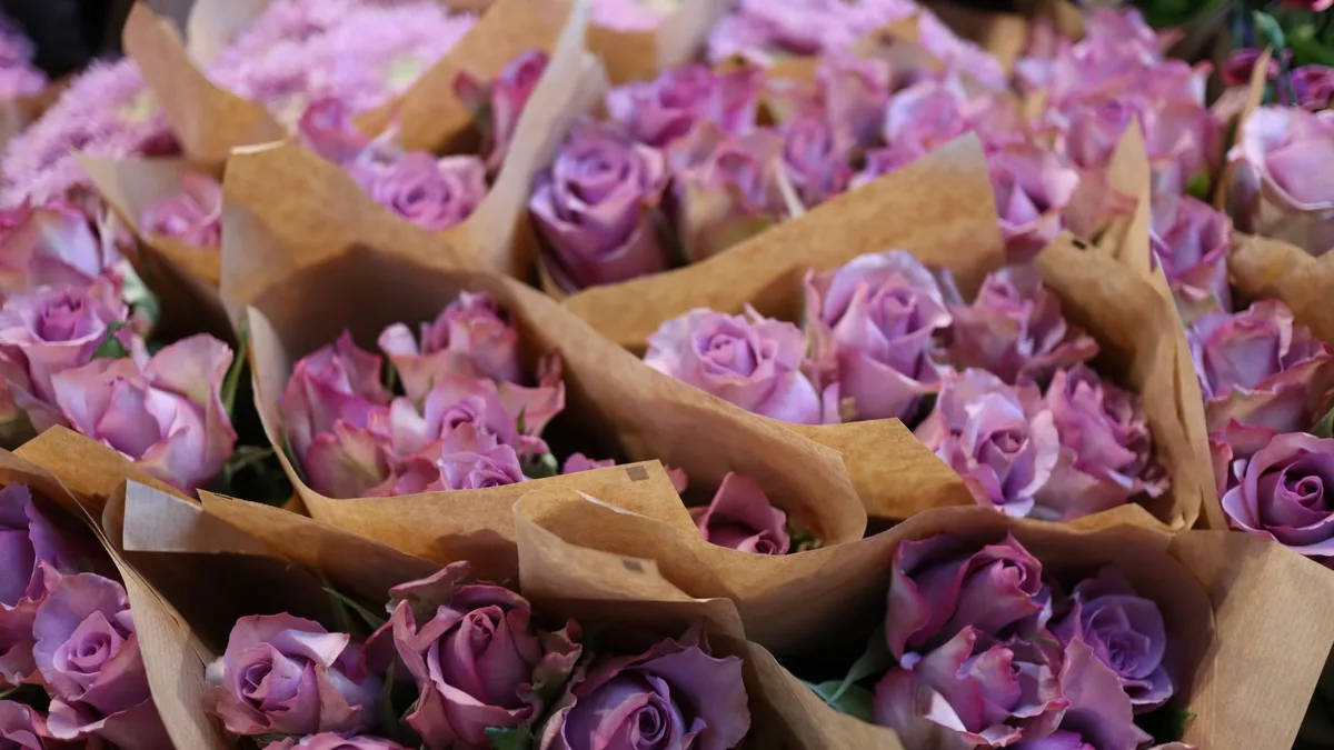 Love bombing : les points à vérifier
